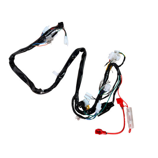 Complete kabelboom voor Skyteam Dax 125cc euro 4