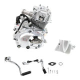 Lifan 50cc complete motorblok 50cc Mash Cobra