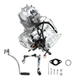 Lifan 50cc complete motorblok 50cc Mash Cobra