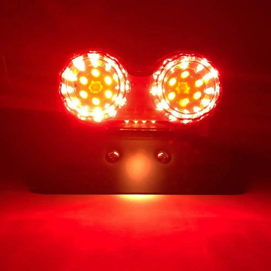 Double Universal Taillight Red LEDs mit Pinkern, die gebaut wurden -