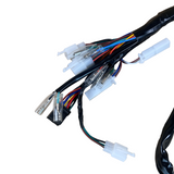 Complete kabelboom voor Skyteam / Bluroc euro 5 Dax 125cc