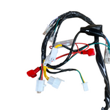 Complete kabelboom voor Skyteam / Bluroc euro 5 Dax 125cc