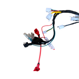 Complete kabelboom voor Skyteam / Bluroc euro 5 Dax 125cc