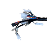 Complete kabelboom voor Skyteam / Bluroc euro 5 Dax 125cc