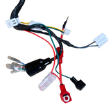 Complete kabelboom voor Skyteam / Bluroc euro 4 Dax 50cc