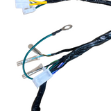 Complete kabelboom voor Skyteam / Bluroc euro 4 Dax 50cc