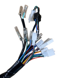 Complete kabelboom voor Skyteam / Bluroc euro 4 Dax 50cc