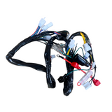 Complete kabelboom voor Skyteam / Bluroc euro 4 Dax 50cc