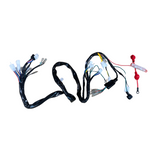 Complete kabelboom voor Skyteam / Bluroc euro 4 Dax 50cc