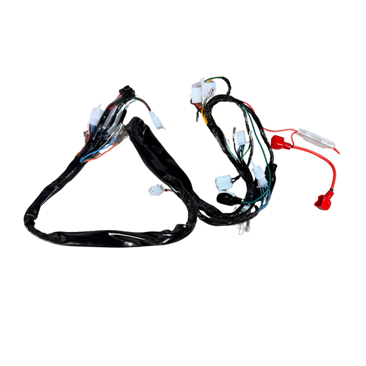 Complete kabelboom voor Skyteam Dax 125cc euro 4