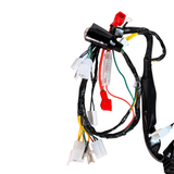 Complete kabelboom voor Skyteam Dax 50cc euro 5