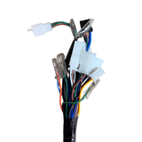 Complete kabelboom voor Skyteam Dax 125cc euro 4